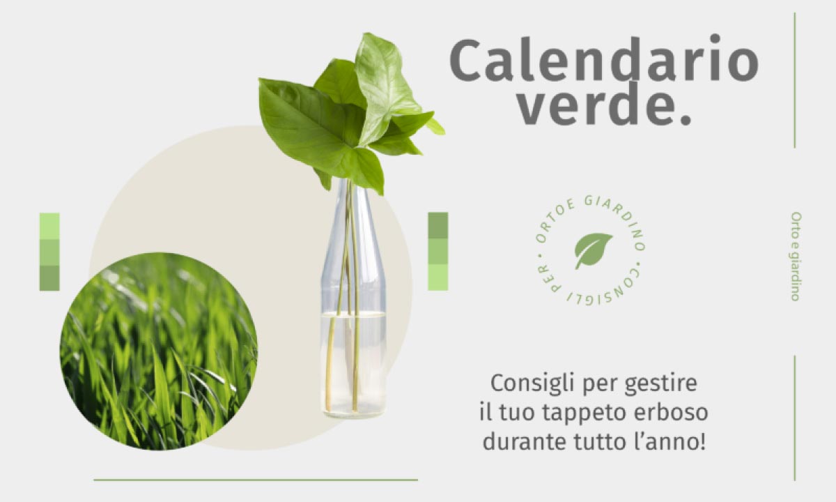 Calendario Verde: agosto