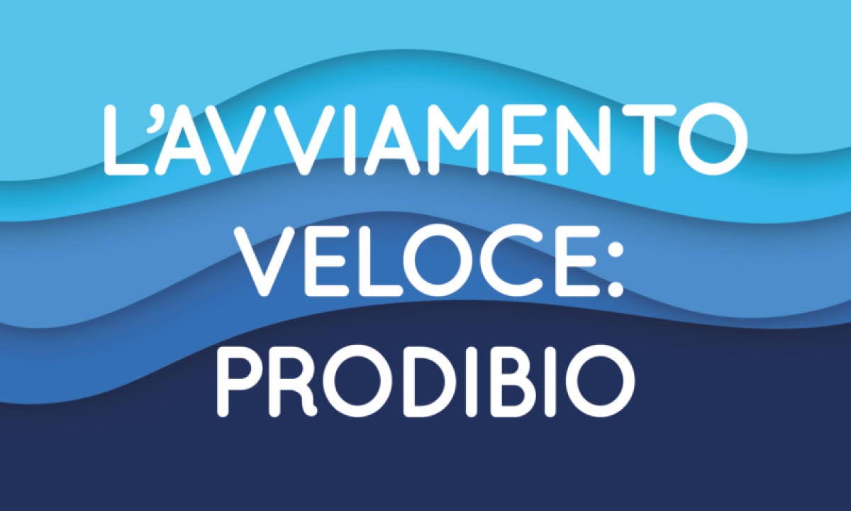 L’avviamento veloce di un acquario di acqua dolce