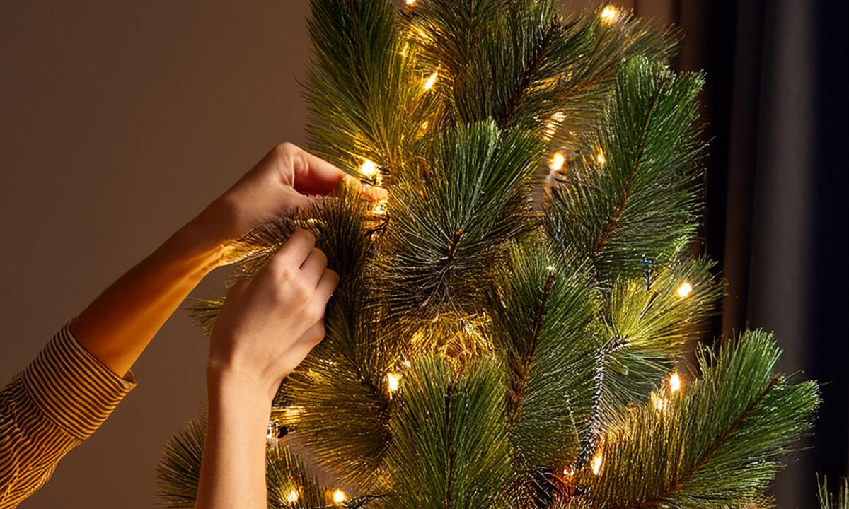 Come mettere le luci sull’albero di Natale