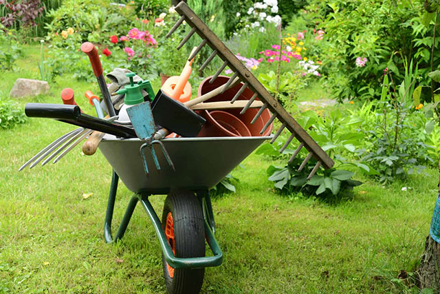 Orto e giardino