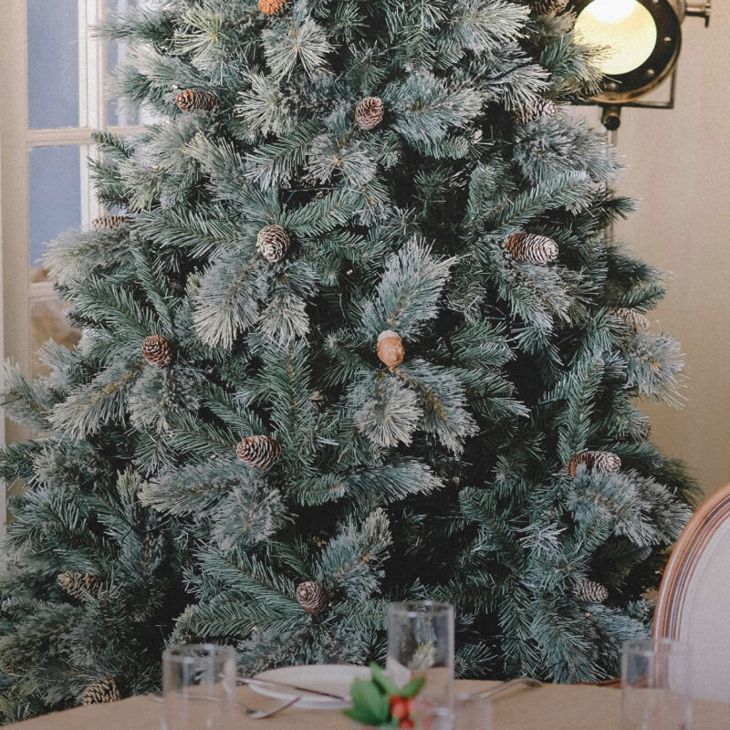 Alberi di Natale