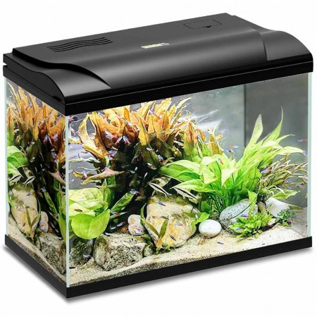 Acquario Magis 30 Nero Blu Bios