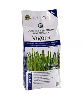 CONCIME VIGOR+ KG 4 Herbatech